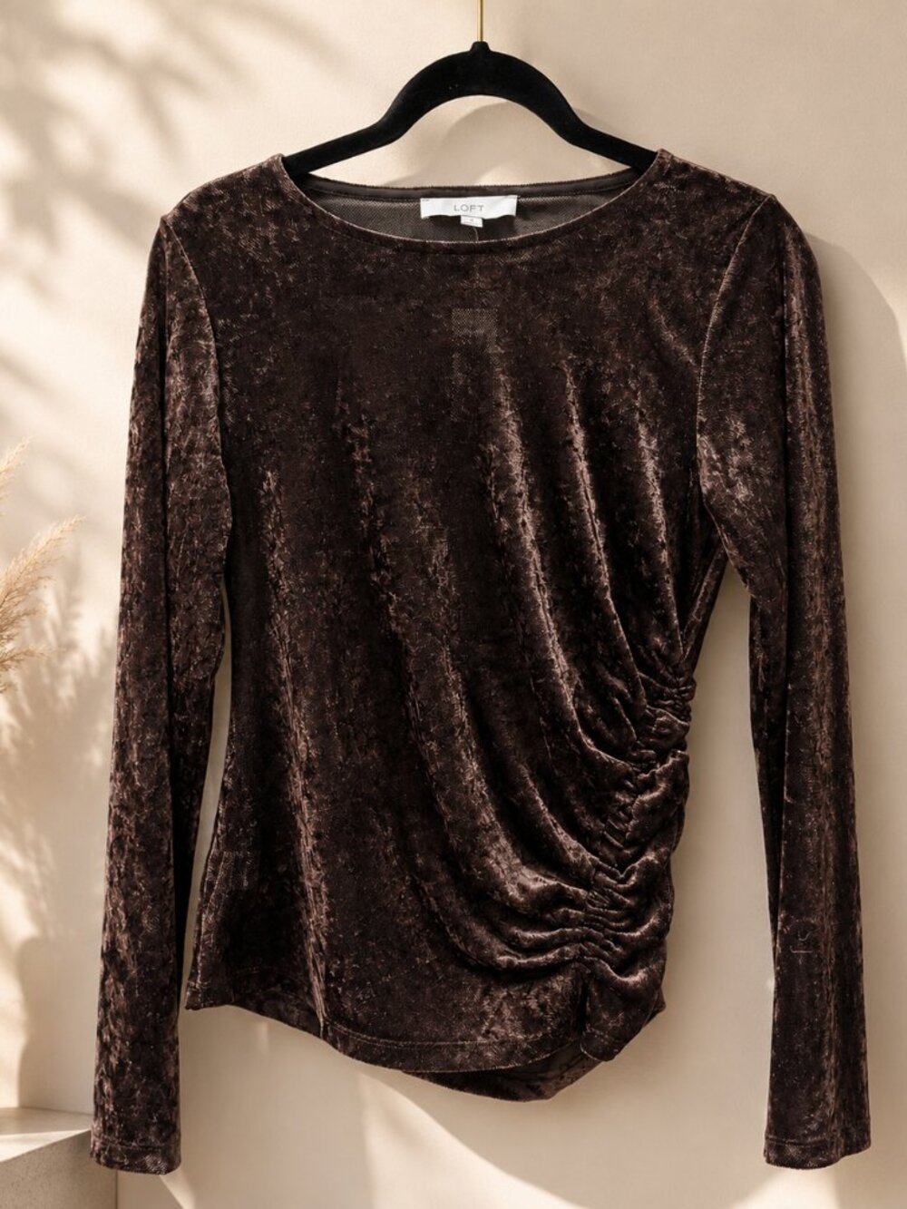 LOFT NWT Crushed Velvet Mesh Ruched Top Medium Mocha Brown Sheer Long Sleeve